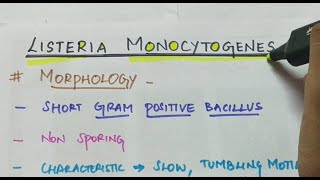 Listeria monocytogenes  Microbiology  Handwritten notes [upl. by Anecuza]