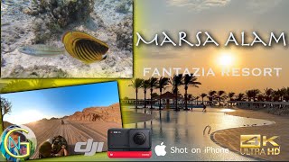 Marsa Alam la nostra settimana al Bravo Fantazia Resort snorkeling delfini quad nel deserto [upl. by Mcnelly]