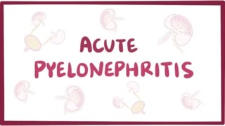 Acute pyelonephritis urinary tract infection  causes symptoms amp pathology [upl. by Bettzel]