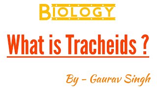 What is Tracheids   By  Gaurav Singh [upl. by Adrianne]