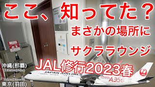 【穴場ラウンジ】サクララウンジ ANNEXが快適だった件 日本航空 沖縄那覇→東京羽田 [upl. by Kaiulani]