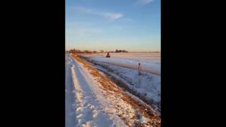 Top Speed Arctic Cat f800 and 750cc quad WIDE OPEN THROTTLE [upl. by Dymoke595]