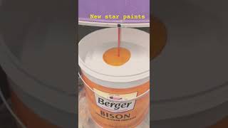 bison interior emulsion  Paint mixing color colour colorful painting [upl. by Ymmot633]