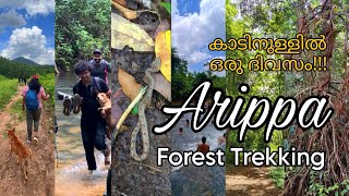 കാടിനുള്ളിൽ ഒരു ദിവസം  Arippa Forest Trekking  Kerala Eco Tourism kerala forest trekking [upl. by Thom]