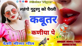 desi meena geet लेडिस langho guturu ko लहंगो गुटरगू को पेरली कबूतर कनिया पे singer Rinku tiger [upl. by Enoek610]