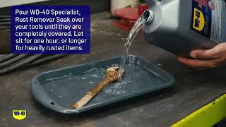 How To Remove Rust From Metal Tools  WD40 Specialist® Rust Remover Soak [upl. by Dickenson]