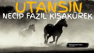 Tohum saç bitmezse toprak utansın NECİP FAZIL KISAKÜREK Utansın Şiiri [upl. by Notnef]