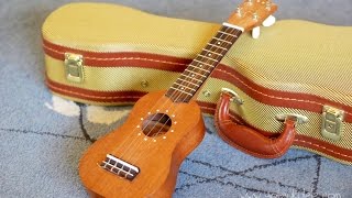 Got A Ukulele Review  John Daniel Pixie Sopranino [upl. by Nerw]