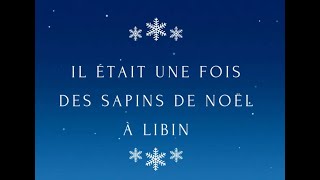 Les sapins de Noël à Libin  Retour sur le débat TV LUX [upl. by Adnarem]