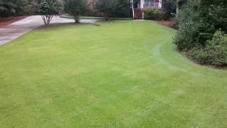 Zoysia lawn maintenance w Tommy C Tommys Landsc [upl. by Shaver369]