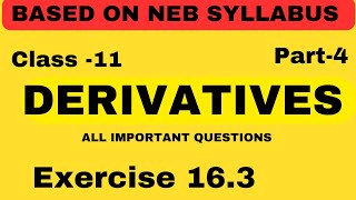 Derivatives exercise 163 all important questions  Explained in Nepali  part4 [upl. by Iliram]