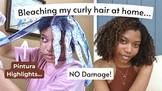 I Bleached My Hair… Oops  HOW TO HIGHLIGHT CURLY HAIR AT HOME WITH NO DAMAGE Pintura Method [upl. by Lekym]