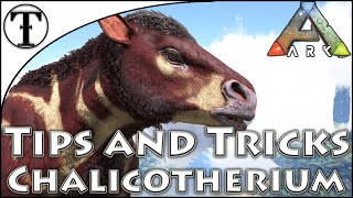 Fast Chalicotherium Taming Guide  Ark  Survival Evolved Tips and Tricks [upl. by Oretna]