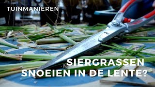 Siergrassen snoeien in het voorjaar Hoe doe je dat  Tuinmanieren [upl. by Vin]