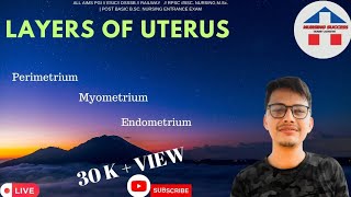 LAYERS OF UTERUS  ENDOMETRIUM  MYOMETRIUM PERIMETRIUM [upl. by Golter]