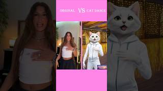 Rosa que linda eres Cat Dance Version shorts tiktok cats catdancing [upl. by Skoorb]