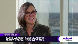 Cathie Wood Odds of spot bitcoin ETF approval have gone up [upl. by Suravat]