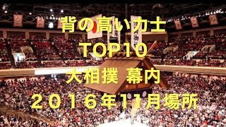 【大相撲】身長の高い力士 TOP10 2016年11月場所 幕内 [upl. by Obbard611]