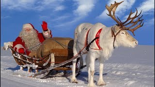 Santa Claus for kids 🦌🎅 Best reindeer rides of Father Christmas in Lapland Finland for children [upl. by Yadsnil738]