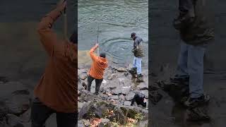 Its not easy to put a really big salmon in a net I ❤️ salmon fishing Vedder river Canada 🇨🇦 10 [upl. by Ahearn561]