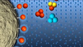 Hydrophobic Interaction Chromatography GFP Purification part 4 of 6 [upl. by Eittod]