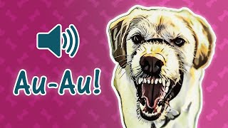 🐶 Cachorro Latindo 🐕 Som de Latido de Cachorro de Várias Raças [upl. by Naujtna462]