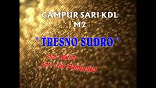 Lagu Campursari lawas  TRESNO SUDRO  Nafiar [upl. by Ynaittirb]