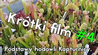 Krótki film 4  Podstawy hodowli Kapturnic [upl. by Llabmik]