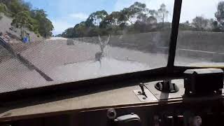 Kenworth W925 S2 with VT903 pulling up Skyline Mittagong NSW February 2020 [upl. by Wohlert571]