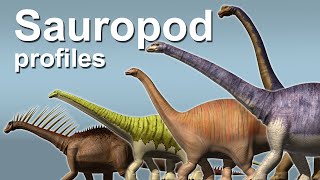 Sauropod profiles [upl. by Riancho407]