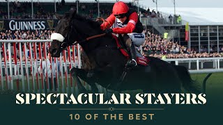 TOP 10 STAYERS HURDLES AT THE CHELTENHAM FESTIVAL [upl. by Domella]