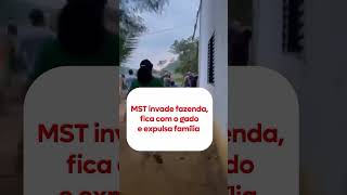 MST invade fazenda fica com gado e expulsa família [upl. by Cathi]