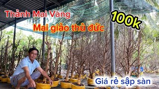 266 gl mai giảo thủ đức 0328694547 bao ship toàn quốc [upl. by Bradney]