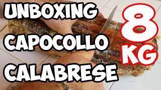 Unboxing Capocollo Calabrese 8kg Stagionato Special Edition 4k [upl. by Manon]