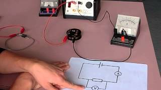 setting up ohms law circuit [upl. by O'Carroll789]