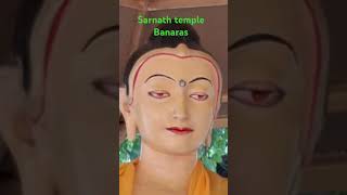 Sarnath temple banaras gautam Buddha reels [upl. by Baerman134]