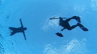 Spear Fishing Dinner in The Cook Islands  4K VLOG 207 [upl. by Aimahc]