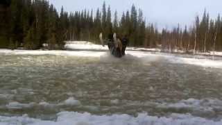 Ski doo rev 440800 wheelie [upl. by Nosle839]