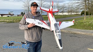 Eflite Viper 90mm EDF Jet 6S 1400mm BNF Basic with AS3X and SAFE Select Maiden flight [upl. by Alemak]