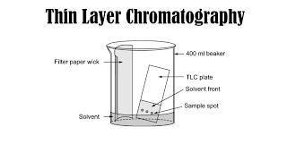 Thin Layer Chromatography explained in urdu  Macrostars Academy [upl. by Sairahcaz]