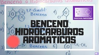 Nomenclatura benceno o hidrocarburos aromáticos  Química Orgánica [upl. by Efron354]