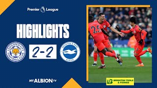 PL Highlights Leicester 2 Albion 2 [upl. by Stephi682]