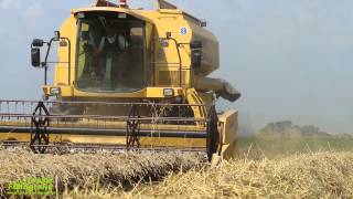 Wintertarwe dorsen met een New Holland TX64 plus [upl. by Rednav214]