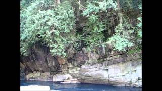 Cliff Jumping Eagle Falls  Washington State [upl. by Akived]