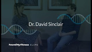 Nicotinamide Riboside vs Nicotinamide Mononucleotide  dosing and effects on NAD  David Sinclair [upl. by Graniah]