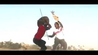 Nguni stickfighting also known as umdlalo wezinduku [upl. by Sihun334]