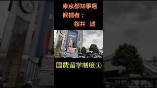 国費留学制度①桜井誠日本第一党都知事選外国人若者奨学金公約候補者 [upl. by Sethrida]