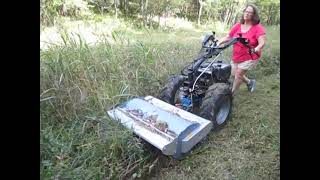 Berta 30quot flail mower in action on BCS 749 [upl. by Aniaj719]