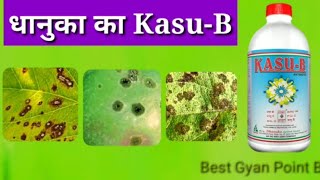 धानुका KasuB  Kasugamycin 3 SL systemic bactericide amp fungicide [upl. by Giustino]