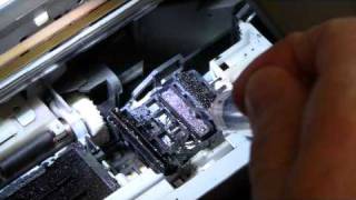 Unplugging Epson Print Heads video Inkmizercom America [upl. by Annahpos674]